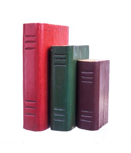 Zarážka na knihy - Knihy (pár) vícebarevné dřevo, 22x14,5cm