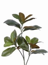 Magnolia leaf, green, plastics