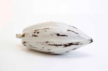 Papája, bílé dřevo