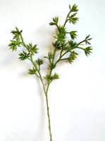 Větvička zelená, výška 60 cm,  umělá hmota