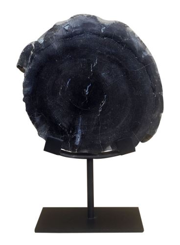 Plate of petrified wood on a pedestal, 18x7x26cm,  black,  petrified wood