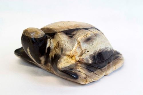 Turtle carved from fossil wood, black-white, petrified wood