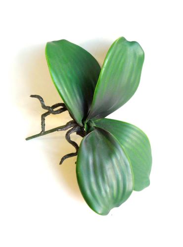 Orchidej list, 19x9x20 cm, zelený, umělá hmota
