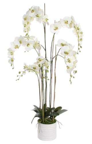 Orchid in flower pot, 90x60x115 cm, plastics
