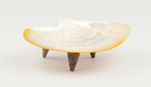 Bowl of seashell