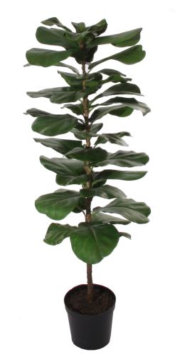 Ficus Lyrata v květníku, 50x40x130 cm,  zelená,  umělá hmota