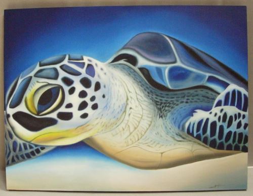 Obraz želva, 120x4x90cm,  plátno