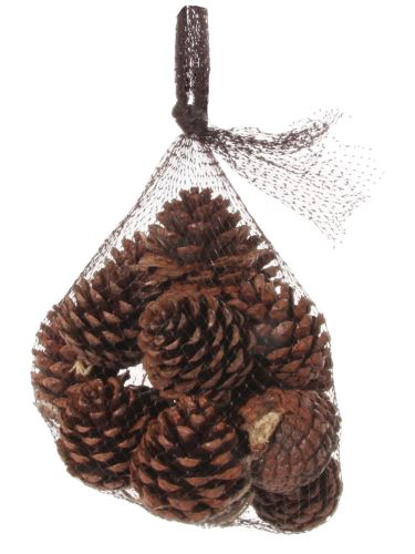 Pine cone, brown