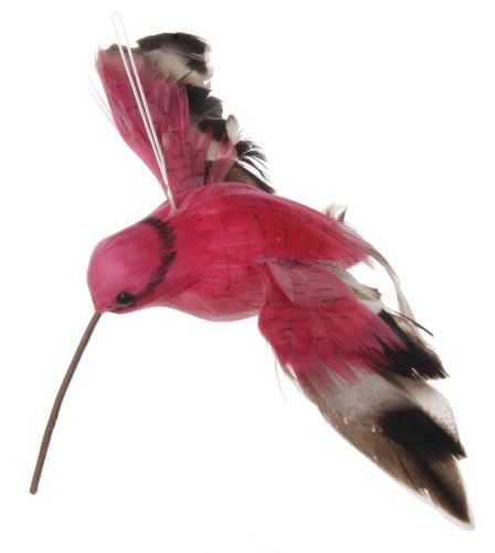 Kolibřík růžový z peří