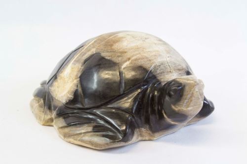 Turtle craved from fossil wood, black-white, petrified wood
