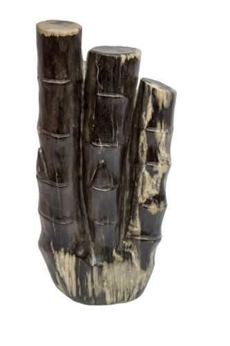 Fossil bamboo, dark petrified wood