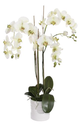 Orchid in flower pot, 80x40x80cm, plastics