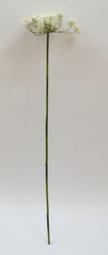 Mrkev divoká bílá, v 72cm, umělá hmota