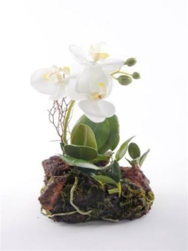 Orchidej v mechu bílá, umělá hmota
