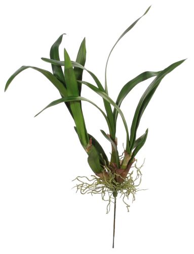 Trs orchidej, výška 70 cm, zelená, umělá hmota