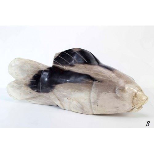 Ryba z fosilního dřeva, 43x11x18cm,  béžovo-hnědá, zkamenělé dřevo